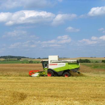Сельскохозяйственный обзор экономических отношений в Беларуси